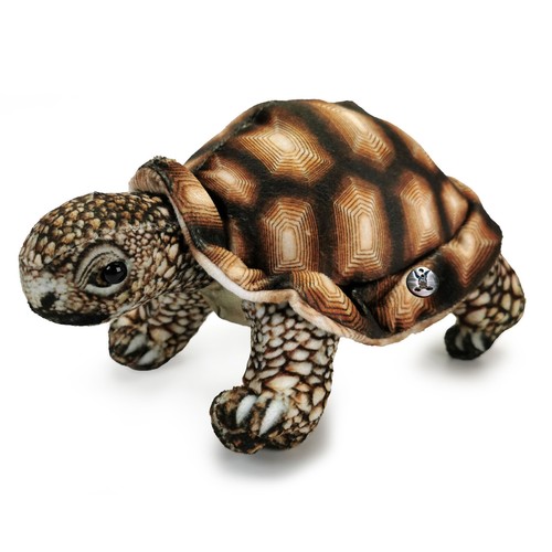 Schildkröte landschildkröte - schildkröte,