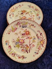  6 Teller  Sarreguemines