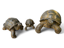 Stein Schildkröten – Pool