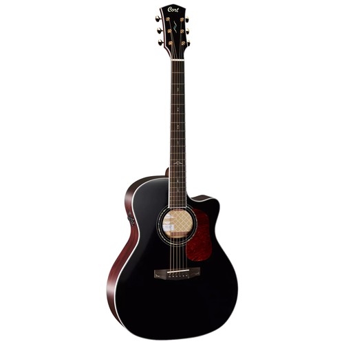 Neu cort gold black gloss - cort,