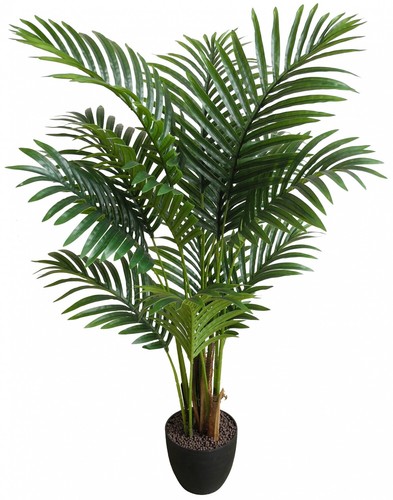 Hawaiipalme 90cm - , da