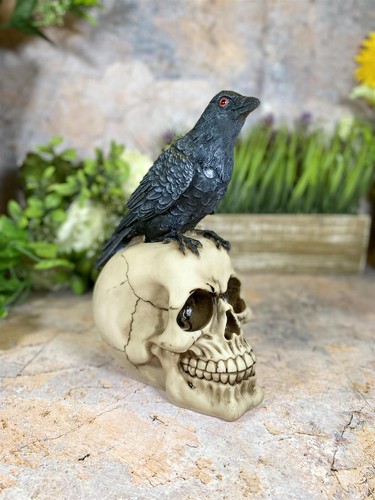 Rabe auf totenkopf figur - rabe,