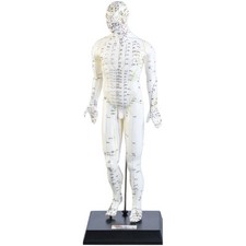 newgen medicals Akupunkturmodelle: Akupunktur-Modell Mann (Akupunktur Puppe)