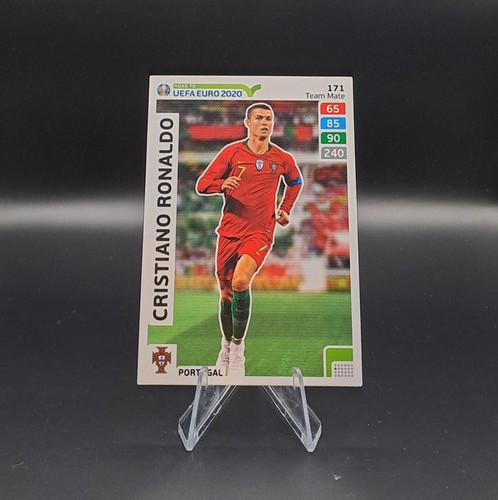 Panini adrenalyn road to - panini, xl