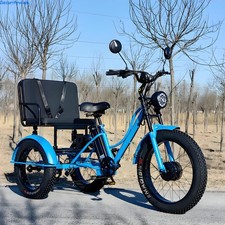 24-Zoll-Elektrodreirad 750W