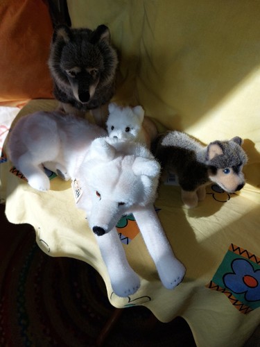 Kösen wolf familie - kösen,