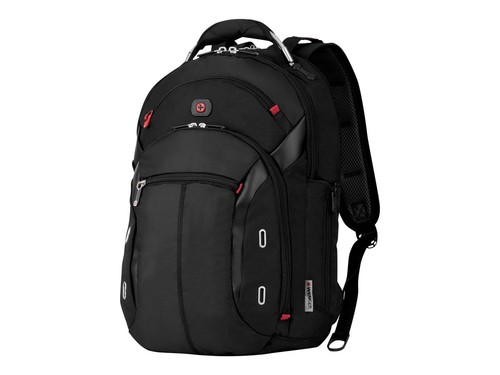 Wenger the gigabyte - the,