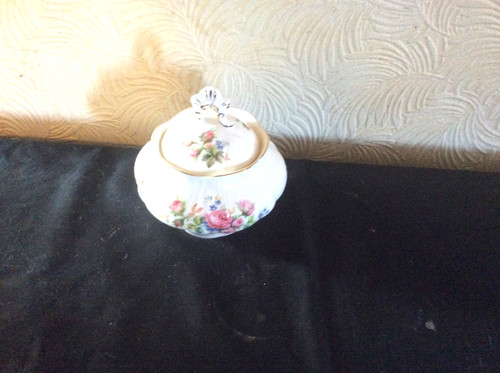 Royal albert moss rose - albert,