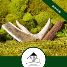 Kaugeweih für Hunde -3er Pack- Kauknochen Geweihsnack Hirschgeweih Geweihstück