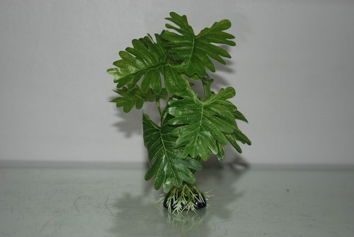 Aquarium grünpflanze mit - aquarium,