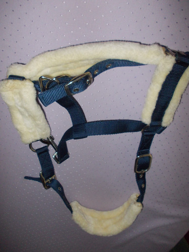 Showmaster halfter blau - showmaster, blau/