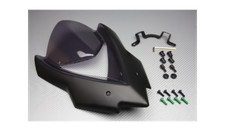 Getönt Windschild /