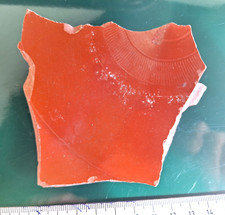 Große Terra Sigillata  mit