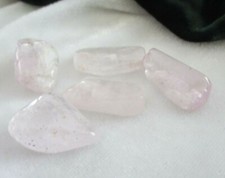 Kunzit 5 Stück ~ Trommelstein