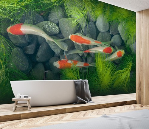 Tier koi h7658 tapete - h7658,
