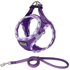 Hundegeschirr Kleine Hunde