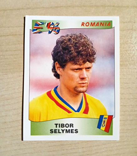 Panini euro 1996 fußball - panini,