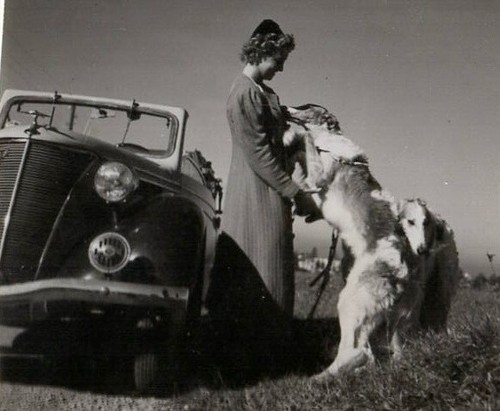 Org foto 1940er - org,