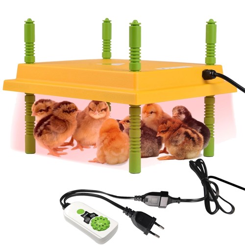 Küken wärmelampe - küken,