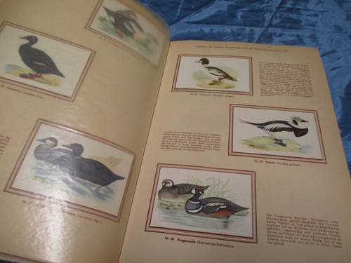 Sammelbilderalbum bunte - sammelbilderalbum,