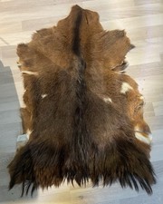 Ziegenfell Zickelfell Echthaarfell Ca 50 Jahre Alt