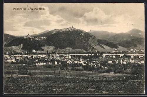 Ansichtskarte mehlem panorama - ansichtskarte,