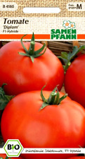 Tomate Diplom F1 -