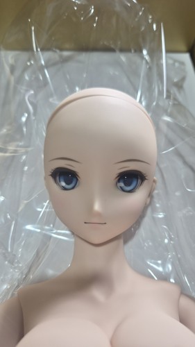 Dollfie dream fate - fate, ruler