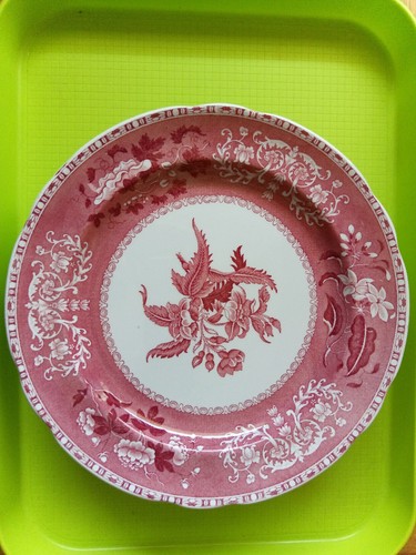 Speiseteller groß spode - speiseteller,
