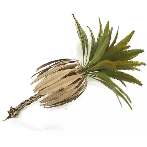 Wüsten palme höhe cm - -, 16