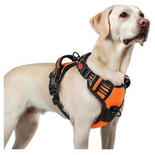 Hundegeschirr für große