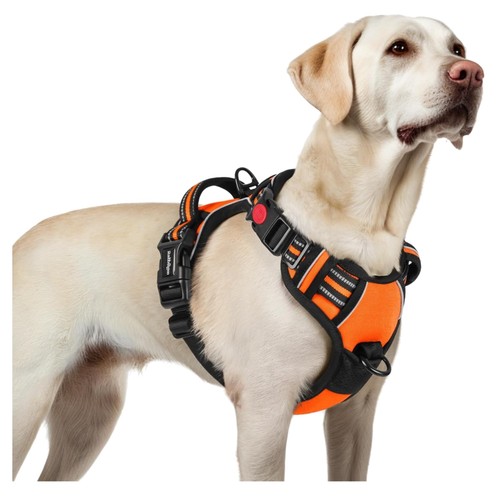 Hundegeschirr für große