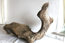 Schwemmholz Treibholz Skulptur