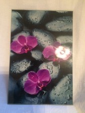 ORCHIDEE*GLASBILD*WANDBILD*30X