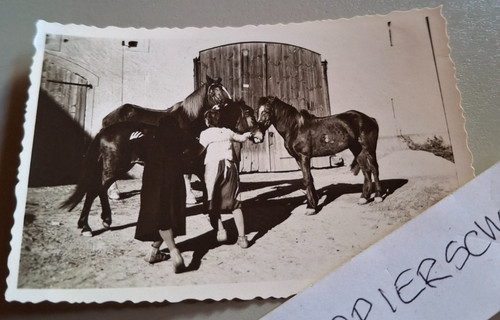 Altes foto vintage - altes,