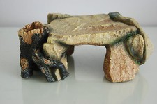 Mittelgroßer Felsenbaumstumpf