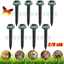 Maulwurfschreck Maulwurf