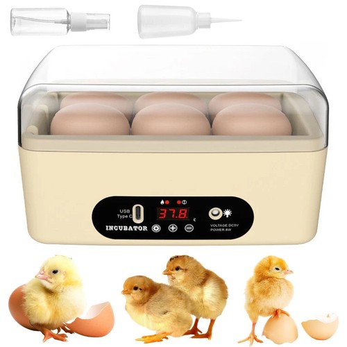 Eier brutautomat - eier,