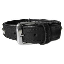 Das Lederband Hunde Halsband