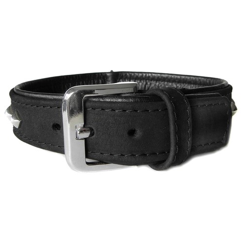 Das lederband hunde halsband - das,