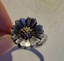 Trollbeads Gänseblümchen