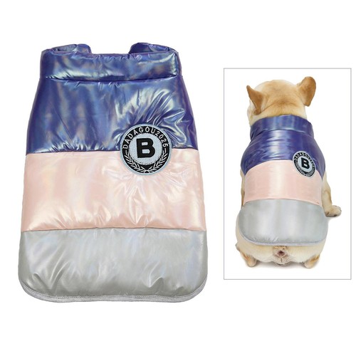Haustier bulldogge hund welpe - hund,