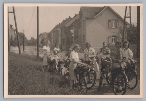 Fahrt nach geisenheim rhein - fahrt,
