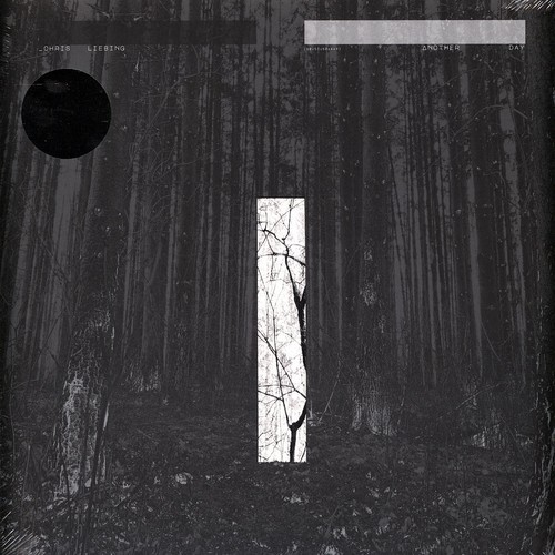 Chris liebing another day - chris,