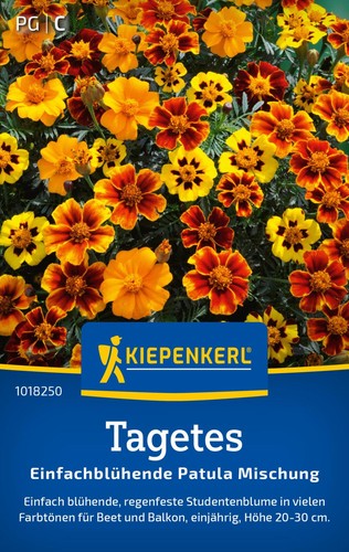 Kiepenkerl tagetessamen - kiepenkerl,