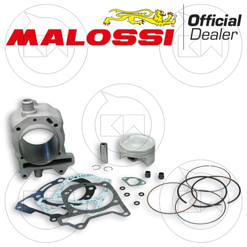 Zylinderkit malossi 3113955 - malossi,