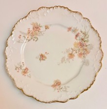 Limoges Porzellan Teller (je