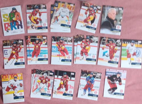 Playercards del2 düsseldorfer - del2,