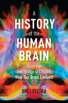 History the human brain - of,