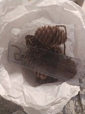 Konvolut versch. Zapfen &